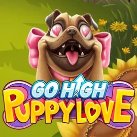 Go High Puppy Love slot icon by RubyPlay, available at Bassbet Casino